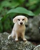 figurki i rzeźby Piesek Miniaturka-Labrador 4