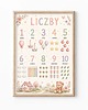 obrazy i plakaty do pokoju dziecięcego Plakat edukacyjny LICZBY dla dziewczynki 1