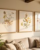 grafiki i ilustracje ZESTAW PLAKATÓW botanicznych, grafiki polne kwiaty roślinne 4