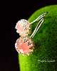 kolczyki z kamieniami Kolczyki Lea - Rose Quartz - Chalcedon Srebro 1