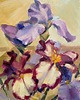 obrazy "Irysy" 24*30 cm/malarstwo olejne 1