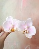 spinki i klamry do włosów Biała spinka z podwójną orchideą 2