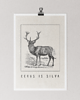 plakaty Plakat, vintage, retro - DEER 3