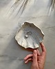pojemniki na biżuterię Podstawka na Biżuterię Palo Santo Ceramiczna Muszelka Muszla Babie Lato 1