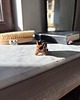 figurki i rzeźby Ceramiczna Figurka Dzik Kolekcjonerskie Miniaturowe Figurki Dzik Desk Buddy 2