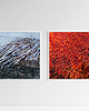 fotografia Fotografia abstrakcyjna "Lawa" 2