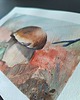 obrazy Akwarele JESIEŃ Miesiące Krajobraz Rośliny grzybobranie grzyby las 3