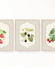 grafiki i ilustracje 3 PLAKATY truskawki galeria botaniczne owoce 8
