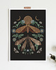 grafiki i ilustracje Ćmy i księżyc, ćmy plakat, plakat botaniczny, księżyc plakat 4