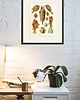 grafiki i ilustracje Rysunek grafika litografia ryby  ocean 2