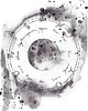 grafiki i ilustracje Księżyc w Pełni i Znaki Zodiaku  akwarela wydruk artystyczny 1