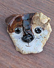broszki Ceramiczna broszka pies szczeniak  2