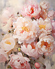 plakaty Peonie i róże - Plakat - Olej, Boho, Abstrakcja 1