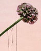 wisiory Flora - naszyjnik kropla 3