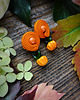 kolczyki soutache Dynie- jesienne kolczyki soutache 4