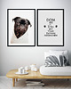 plakaty Plakat typograficzny DOM BEZ PSA 1