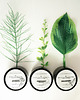 balsamy i masła do ciała Botanique Relaxing  Body Butter 4