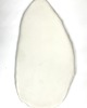 patery i talerze Patera / talerz porcelanowy "Niebieska paproć" 1
