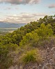 skarpetki damskie Skarpety  Trekkingowe 8