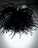 spinki i klamry do włosów Broszka/spinka/ fascynator ze strusich piór czarna, ecru, beż  XL 34cm 1