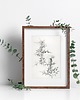 grafiki i ilustracje DWA PLAKATY galeria botaniczne monstera 2