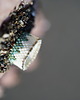 pierścionki - różne Pierścionek Beadingowy CoralReef 1