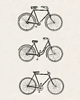 plakaty Plakat, vintage, retro - BICYKLE 3