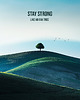 plakaty Plakat - Stay strong 2