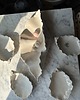 pojemniki na biżuterię Rzeźbiarska Muszla Ceramiczna XL Tacka na Biżuterię i Klucze Pearl White 2