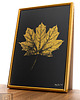 grafiki i ilustracje Plakat Złoty Liść Klonu. Monotypia Botaniczna. Złota Rama Alu 20x30 cm 4
