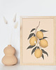 plakaty Plakat cytryny 5