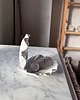 pojemniki na biżuterię Ceramiczna Podstawka na Biżuterię Muszla Skarbiec Dalmatyńczyk 2