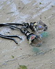 kolczyki wire wrapping niby nic a cieszy..... 1
