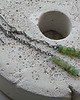 kolczyki wire wrapping chryzoprazy  na łańcuszku - kolczyki 2
