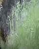 obrazy Green zone V, abstrakcja, obraz ręcznie malowany 3