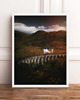 plakaty PLAKATY NATURA  galeria ścienna foto jeleń 1