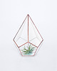 doniczki Szklarnia nr 1 Miedź, terrarium, donica, wazon 1