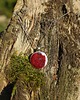 wisiory Wisiorek z żywicy - Cherry 1
