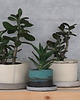 doniczki Doniczka ceramiczna 6