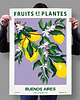 plakaty Plakat botaniczny "Buenos Aires" 1