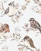 naklejki ścienne do pokoju dziecka Tapeta w ptaszki Birds White-Gray 3