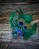 broszki Peacock Eye- broszka soutache 1