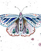 grafiki i ilustracje Ćma deco, 21x30 cm, A4 1