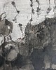 grafiki i ilustracje Abstrakcja nr 05 kolekcja Ogród Eden, oryginał 2