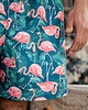 spodnie męskie Spodenki do pływania - Flamingi 3