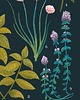 plakaty Plakat botaniczny "Herbs" 30x40 8
