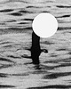 plakaty Plakat Loch Ness Monster 2