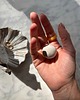 pojemniki na biżuterię Ceramiczna muszelka św Jakuba na biżuterię na drobiazgi prezent dla niej 4