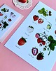 grafiki i ilustracje Truskawki- grafika na ścianę- ilustracja- owoce 2