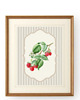 grafiki i ilustracje 3 PLAKATY truskawki galeria botaniczne owoce 6